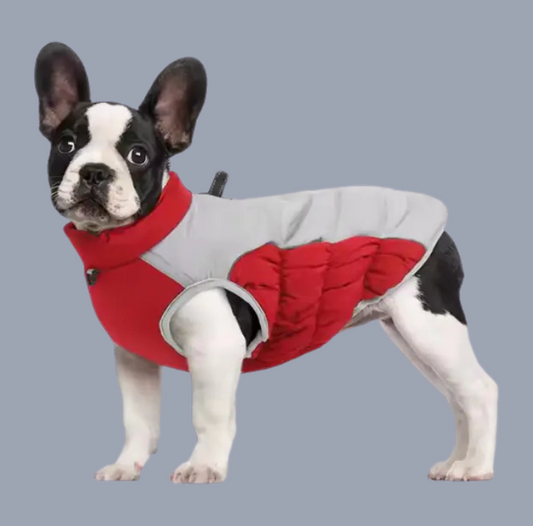Windproof Winter Pet Clothes