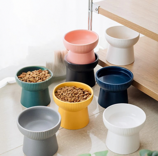 Ceramic Food Bowl