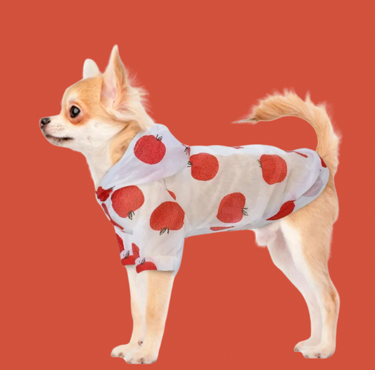 Tomato Dog Raincoat