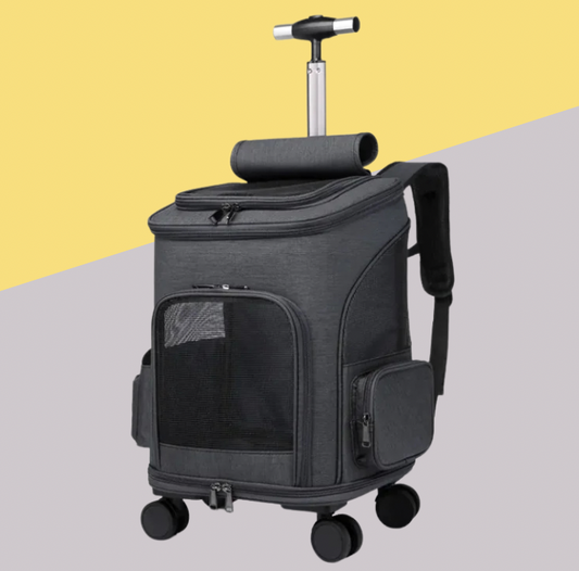 Convertible Pet Travel Bag