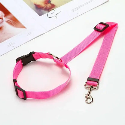 Car Seat Belt & Harness