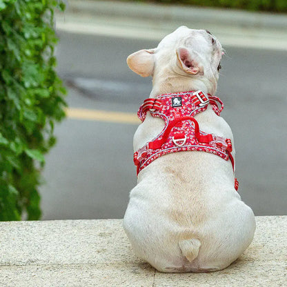 Dog Leash and Vest Harness Set