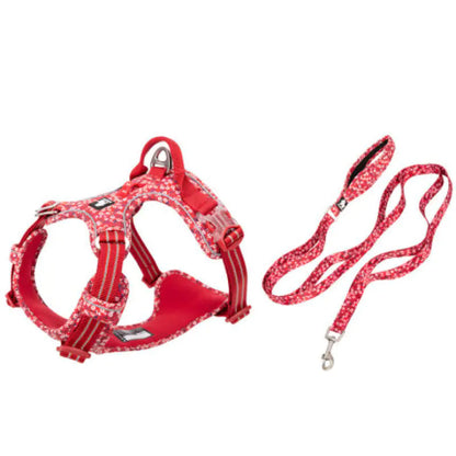 Dog Leash and Vest Harness Set