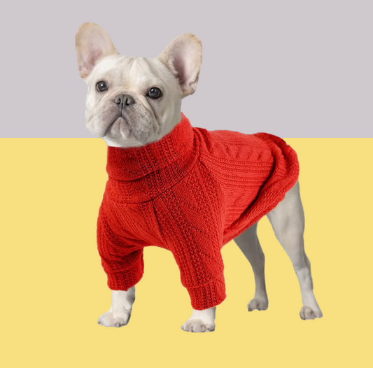 Red Dog Sweater