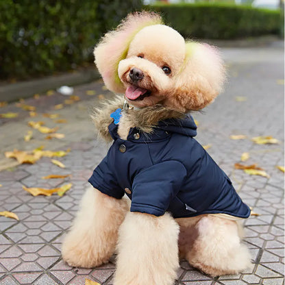 Hooded Down Dog Jacket