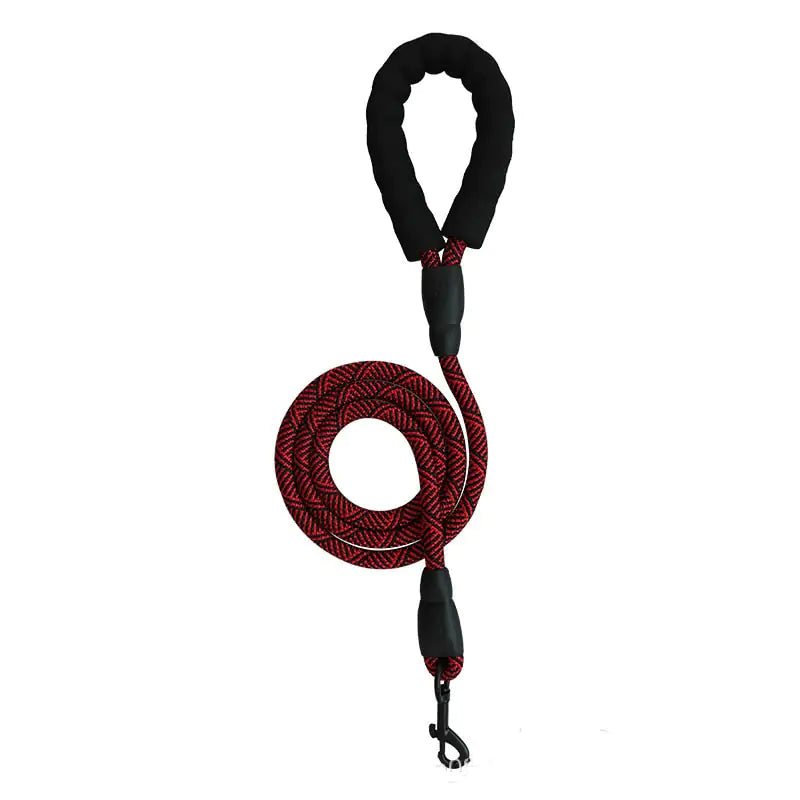 City Leash
