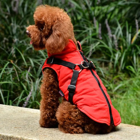 Waterproof Coat with Harness