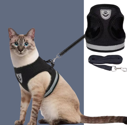 Cat Harness and Leash