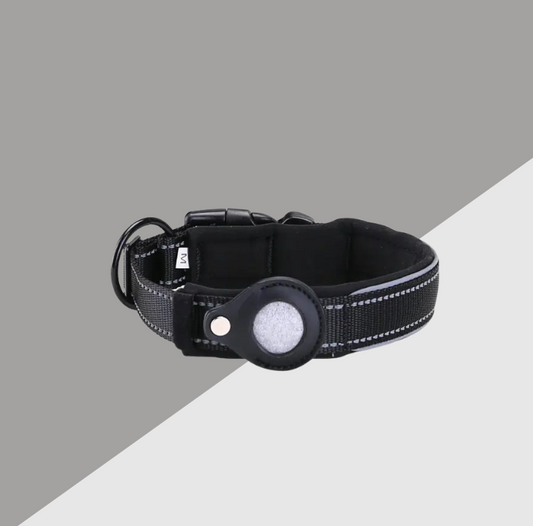 Anti-Lost Dog Collar