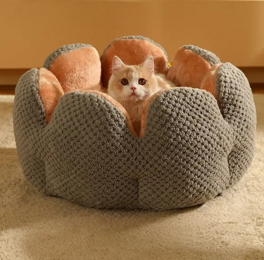 Cactus Pet Nest