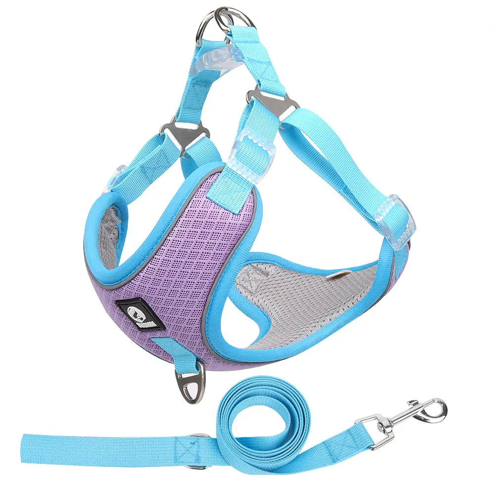 Adjustable Pet Harness with Leash