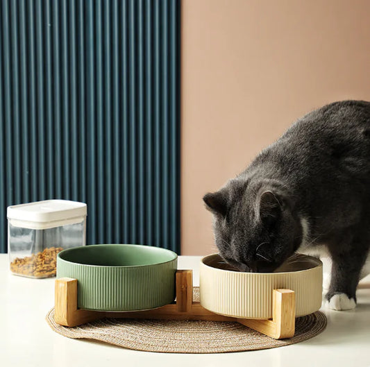 Stylish Ceramic Bowl