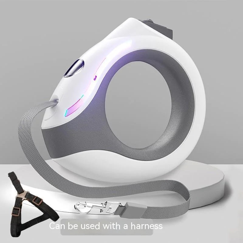 Dog Leash with LED Light