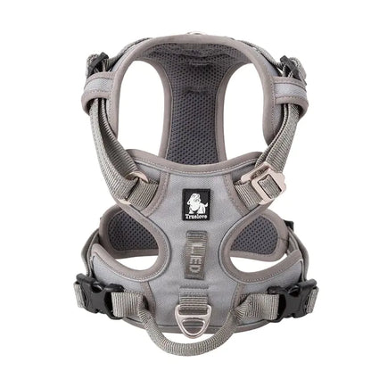Pet Harness