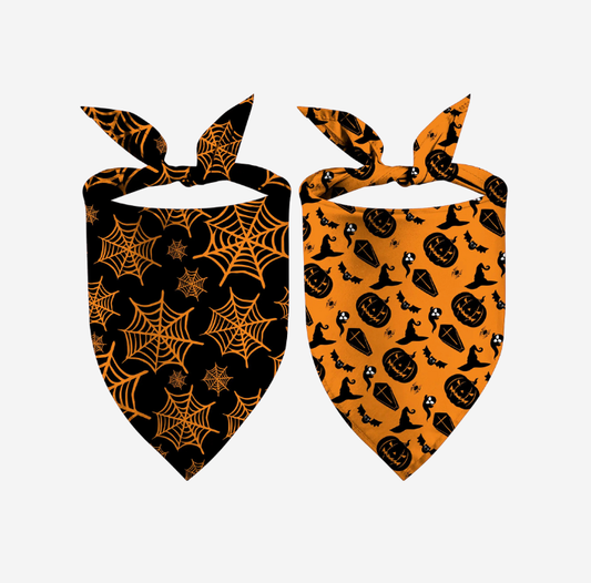 Pumpkin & Spider Web Pet Bandana Set
