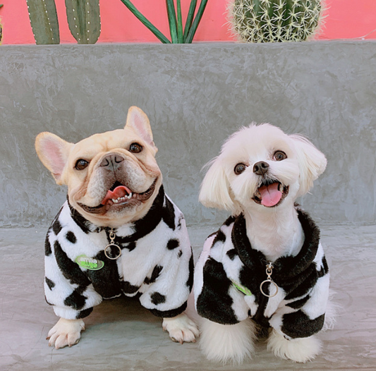 Faux Fur Dog Jacket