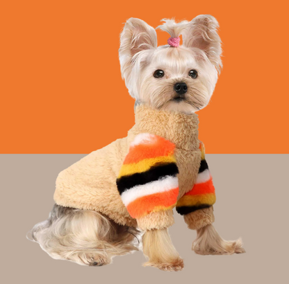 Rainbow Sleeve Dog Sweater