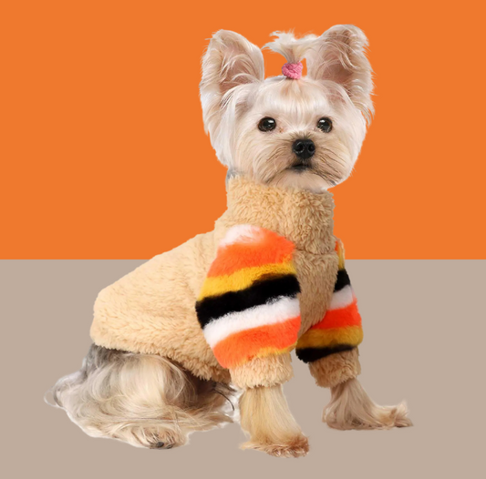 Rainbow Sleeve Dog Sweater