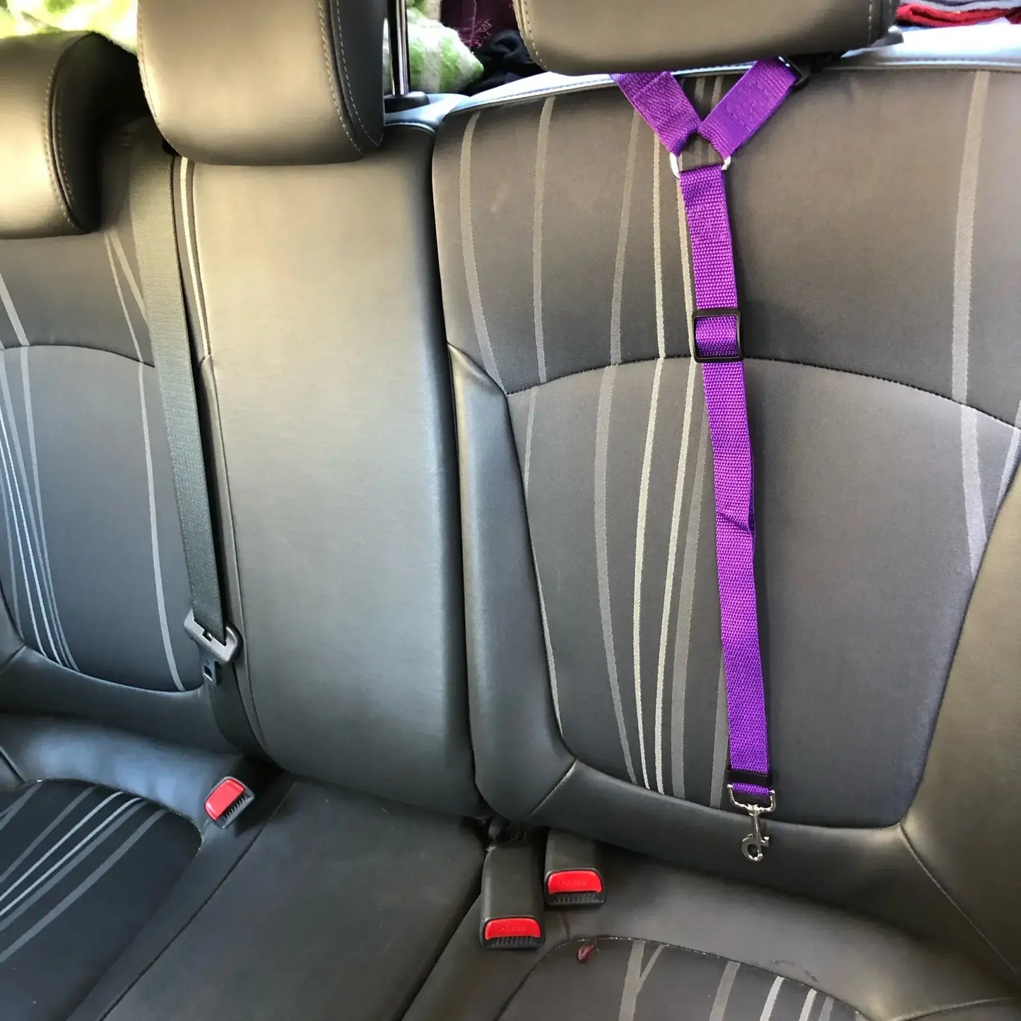 Car Seat Belt & Harness