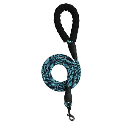 City Leash