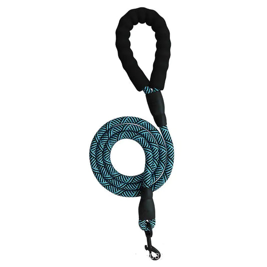 City Leash