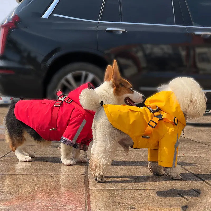 Reflective Pet Raincoat