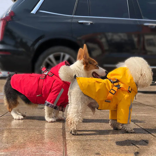 Reflective Pet Raincoat