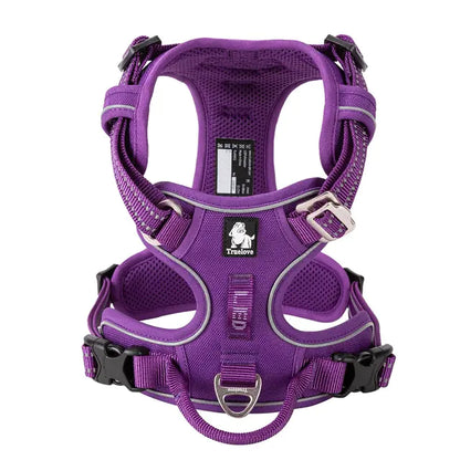 Pet Harness