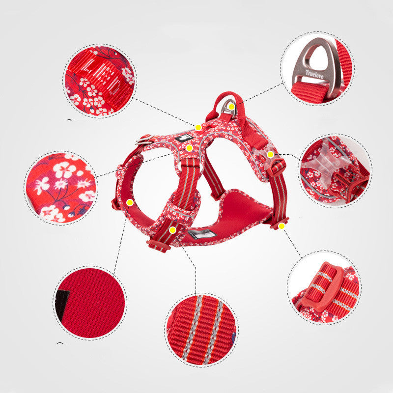 Dog Leash and Vest Harness Set