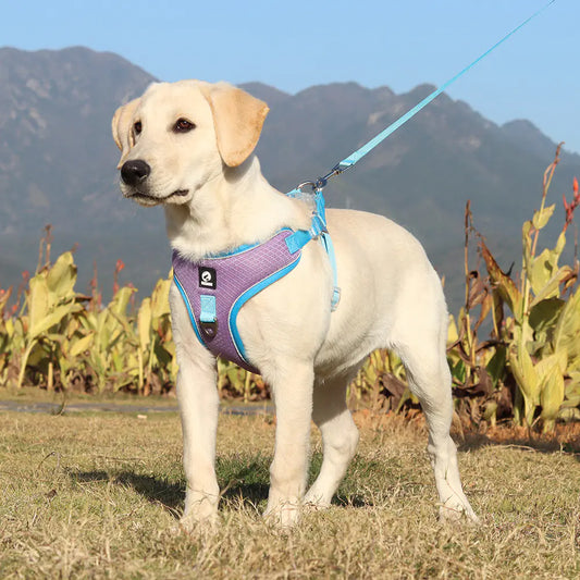 Adjustable Pet Harness with Leash