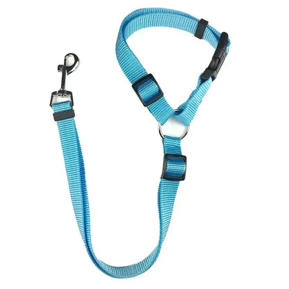 Car Seat Belt & Harness
