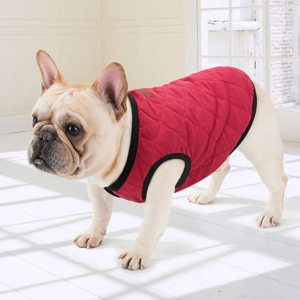 Warm Winter Dog Jacket