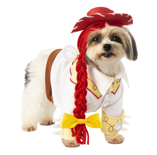 Disney Toy Story Jessie Pet Costume