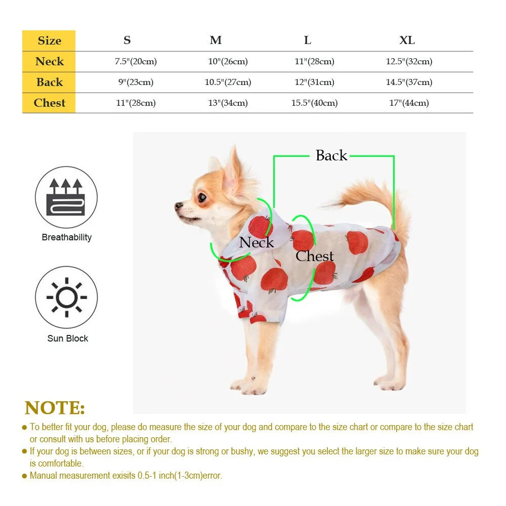 Colorful Dog Raincoat