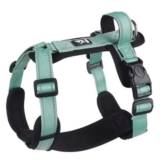 Adjustable Dog Harness Vest