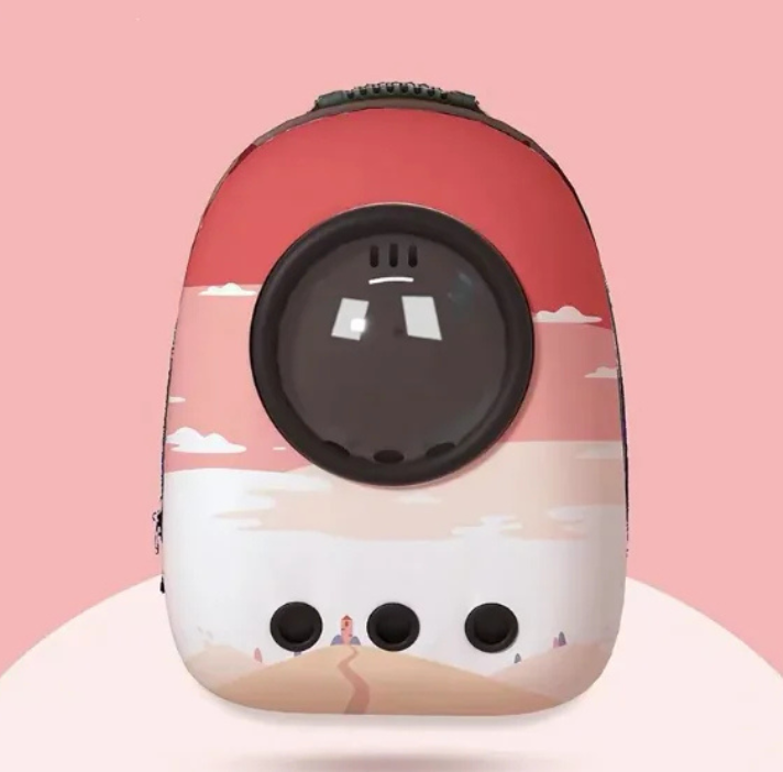 Multicolor Space Capsule Backpack