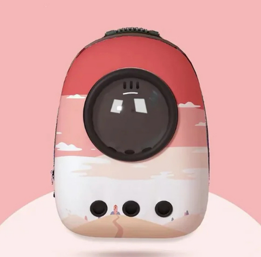 Multicolor Space Capsule Backpack