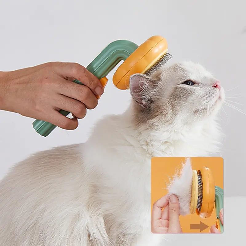 Pet Brush