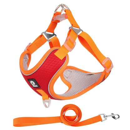 Adjustable Pet Harness with Leash