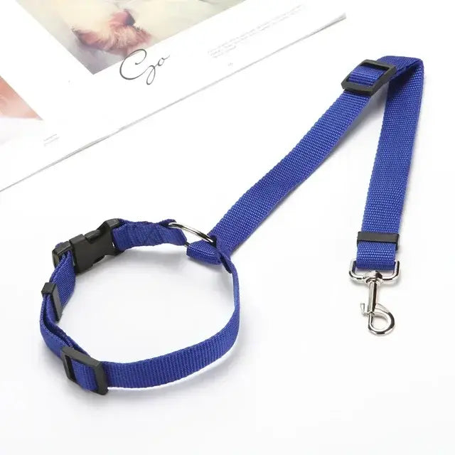 Car Seat Belt & Harness