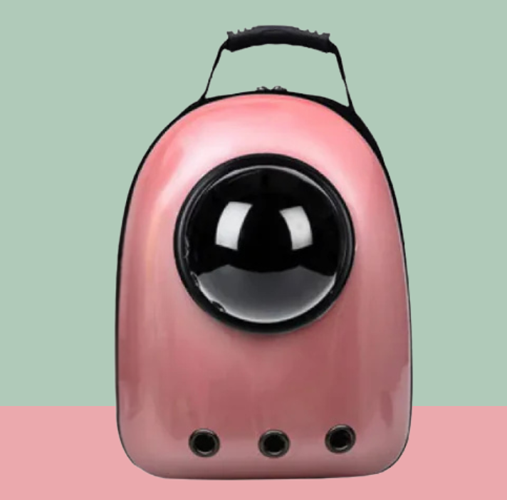 Transparent Space Capsule Backpack