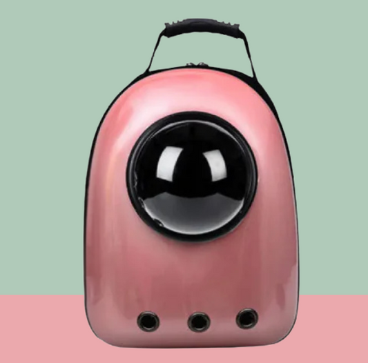 Transparent Space Capsule Backpack