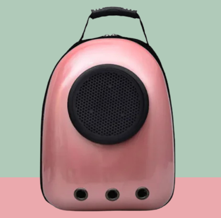 Transparent Space Capsule Backpack