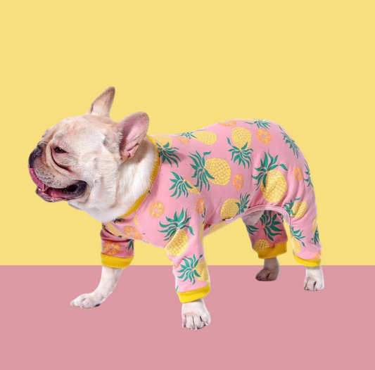 Cotton Stretch Pineapple Pet Sweater