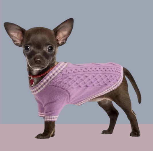Purple Dog Sweater