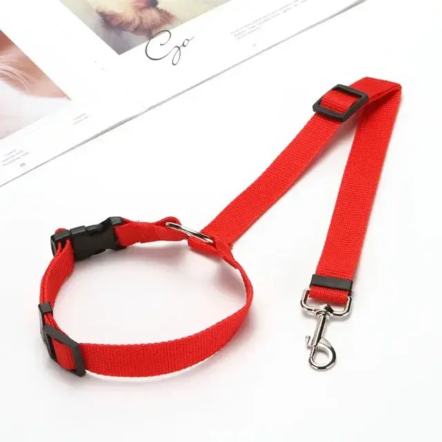 Car Seat Belt & Harness