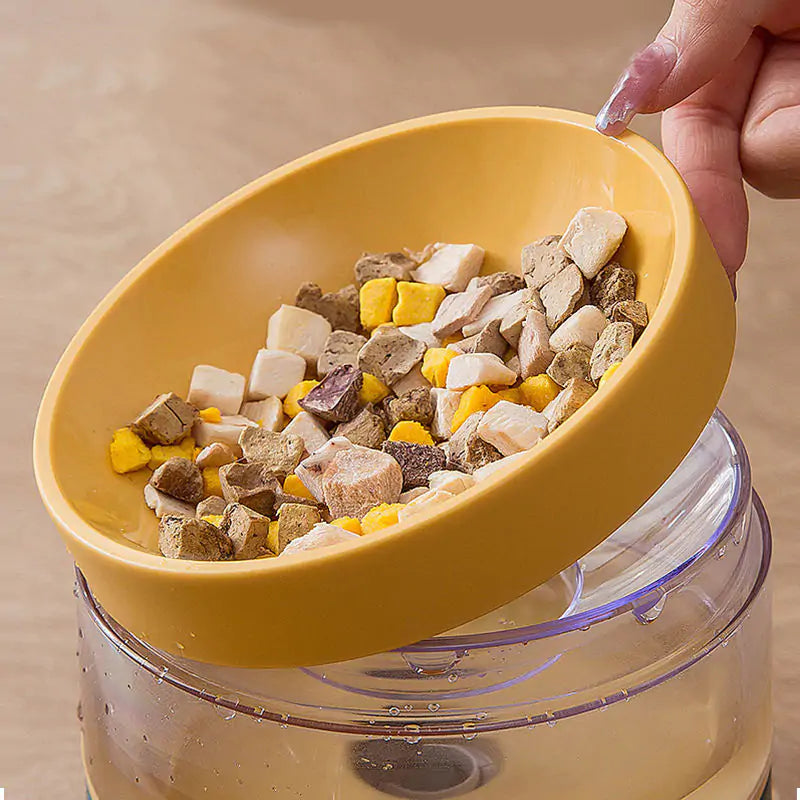 Pet Food and Water Bowl