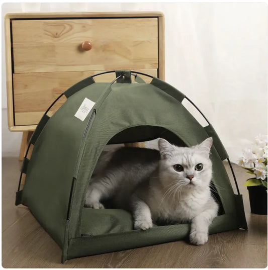Tent Bed