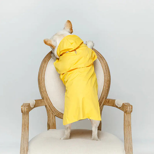Waterproof Raincoat