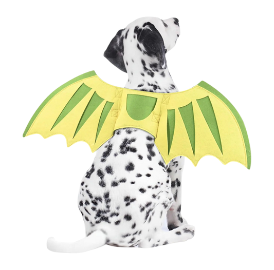 Dragon Wings & Pumpkin Bells Pet Costume Set